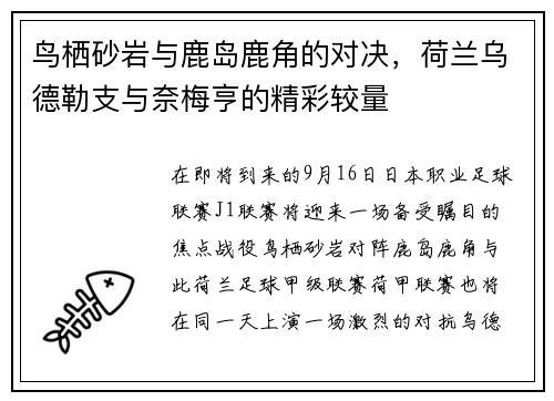 鸟栖砂岩与鹿岛鹿角的对决，荷兰乌德勒支与奈梅亨的精彩较量